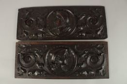 A PAIR OF EARLY FRENCH CARVED WOOD PROFILE PANELS. 19cms x 48cms.