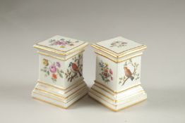 A GOOD PAIR OF FURSTENBERG PORCELAIN PEDESTALS painted with birds and flowers. 6cms high.