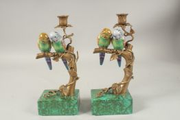 A PAIR OF GILT METAL AND PORCELAIN BUDGIE CANDLESTICKS on rectangular bases. 30cms high.
