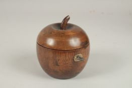 A GOOD APPLE TEA CADDY. 10cms wide.