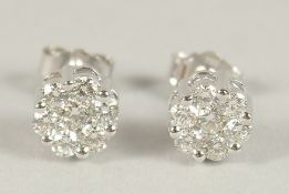 A PAIR OF 18CT HALLMARKED WHITE GOLD AND DIAMOND CLUSTER EAR STUDS.