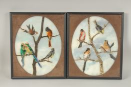A SUPERB QUALITY PAIR OF PIETRA DURA OVAL PLAQUES with brilliantly coloured birds on a branch. 56cms