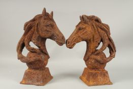 A PAIR OF CAST IRON HORSES HEADS on square bases.