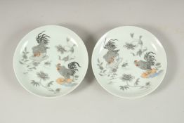 A PAIR OF CHINESE PORCELAIN DISHES, painted with cockerels, 12.5cm diameter.