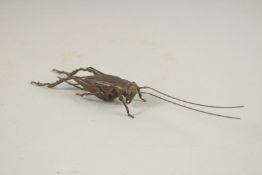 A BRONZE OKIMONO OF A CRICKET.