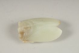 A GOOD CHINESE CARVED JADE LOCUST, 5cm x 3cm.