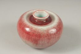 A CHINESE PEACH GLAZE PORCELAIN INK POT, character mark to base, 9cm wide.