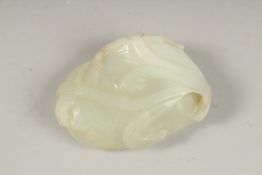 A GOOD CHINESE TWO-COLOUR CARVED JADE LILY PAD, 6cm x 4cm.