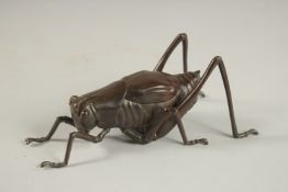 A BRONZE OKIMONO OF A GRASSHOPPER.
