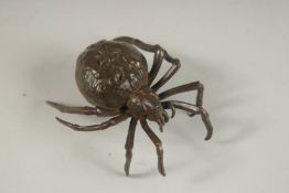 A BRONZE OKIMONO OF A SPIDER.