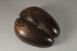 A GOOD LARGE COCO DE MER, 31cm long, 26cm wide, 14cm high.