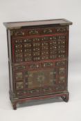 A CHINESE WOODEN SPECIMEN CABINET, comprising 46 drawers and a pair of doors, raised on four feet,