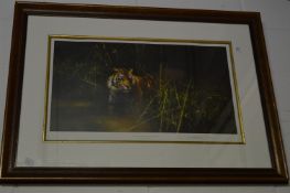 David Shepherd, into the sunlight there came a tiger, limited edition colour print, pencil signed