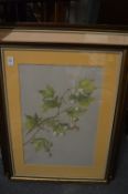 Two botanical watercolours, framed and glazed.