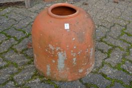 A terracotta rhubarb forcer.
