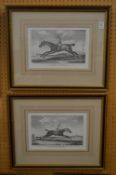 A pair of early engravings depicting jockeys on horseback.