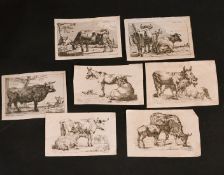 Paulus Potter, 17th Century, a group of seven engravings of animals, each around 3.75