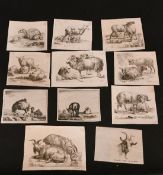 Nicolaes Berchem (1620-1683), a group of eleven engravings relating to animals, each around 4