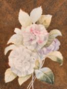 Circle of Redoute, a study of Camelias, watercolour, 13.5