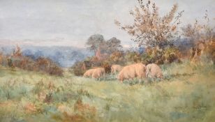 Wilfred Robert Coast, 'Home Pastures Pelham Vale', sheep on a pasture at the end of the day, signed,