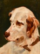 William Grant Stevenson (1849-1919), a head study of dog, oil on board, signed, 9