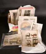 A FOLDER OF 20 LARGE PRINTS AND ENGRAVINGS.