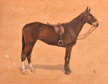 Attributed to Lionel Edwards (1878-1966), 'Jemima', 1st prize winner in the Eglington Hunter Trials,
