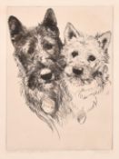 J. Stewart, 'Aberdeen and West Highland Terriers', etching, signed and inscribed in pencil, plate
