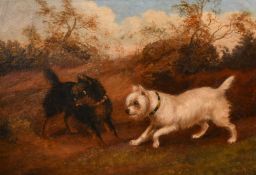19th Century English School, terriers waiting by burrows, oil on canvas, 14