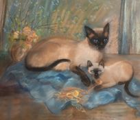 P. Askwith, Siamese cat and kitten, pastel, signed, 18