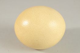 A SPECIMEN OSTRICH EGG. 12cms.