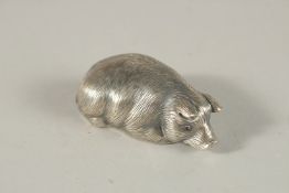 A RUSSIAN SILVER SLEEPING PIG. 5.5cms long. Marks: Head 88 Faberge IP. Weight 30grms.