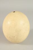 A SPECIMEN OSTRICH EGG. 13cms.