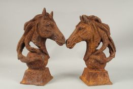 A PAIR OF CAST IRON HORSE'S HEADS on square bases.