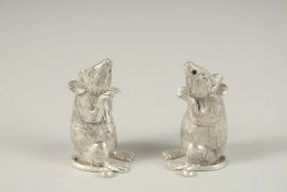 A PAIR OF NOVELTY MICE SALT AND PEPPERS.