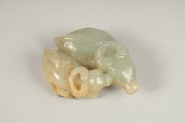 A CHINESE CARVED JADE GROUP OF TWO RAMS. 6cms.
