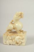 A CHINESE JADE DOG OF FO SEAL. 9cms high.