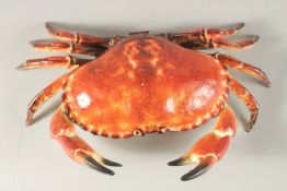 A LARGE CAST IRON CRAB BOX. 30cms long.