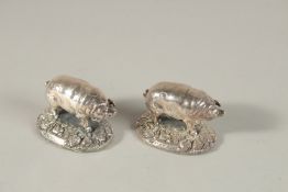 A PAIR OF ENGLISH SILVER PIGS. 6cms.