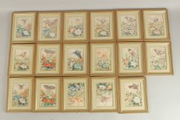 A COLLECTION OF SEVENTEEN CHINESE PITH PAINTINGS, each depicting butterflies and flora, uniformly