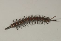 AN ARTICULATED BRONZE OKIMONO OF A CENTIPEDE.