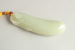 A CHINESE CELADON JADE CARVING OF A CUCUMBER, 13.5cm long.