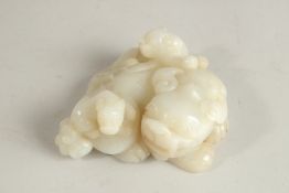 A CHINESE WHITE JADE CARVING OF A MYTHICAL LION, with incised characters to base, 11cm wide, 5cm