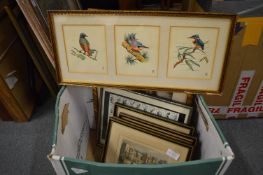 A study of birds on branches, framed as three together with various engravings and prints.