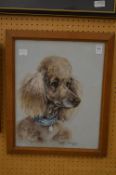 Marjorie Cox, Nooky, pastel portrait of a poodle, signed and dated 1961.