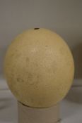 An ostrich egg.