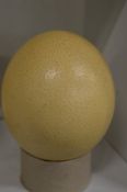 An ostrich egg.