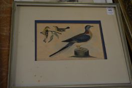 A study of colourful birds, colour engraving, a print of dogs and a gilt frame.