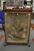 A Victorian rosewood display cabinet with carved decoration, housing a collection of stuffed