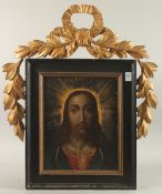 18TH - 19TH CENTURY ITALIAN SCHOOL. HEAD AND SHOULDERS of CHRIST in a gilded frame in panel. 13